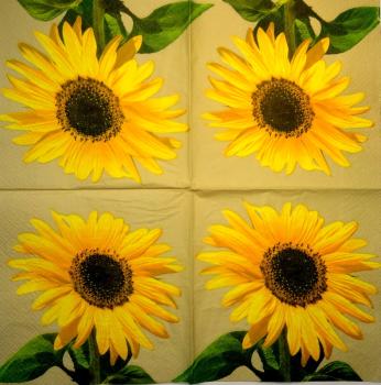 008 Sunflowers - 3 ply (blue)